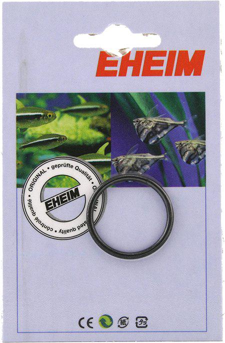 53178400637257_image1