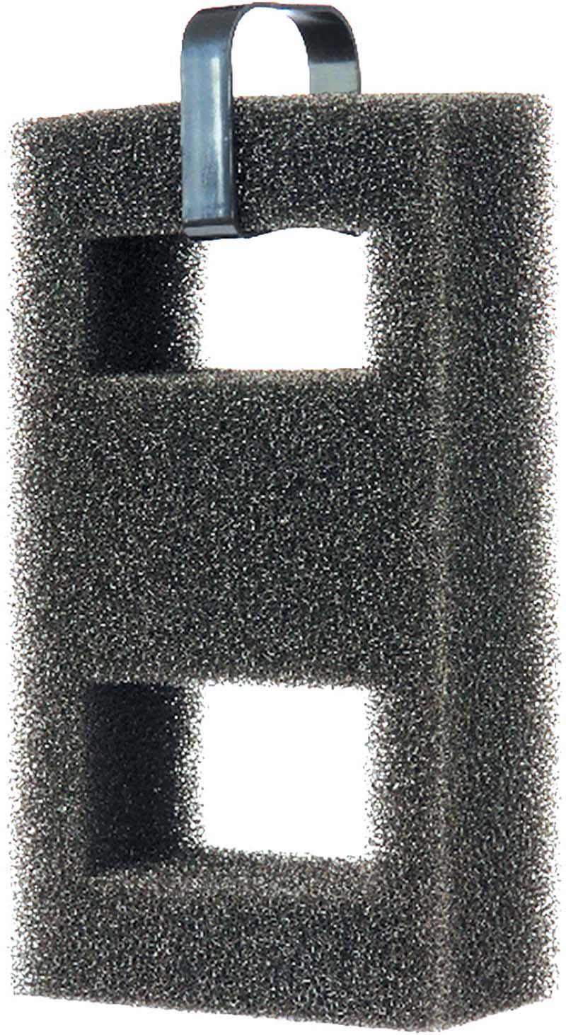 53177975406921_image1