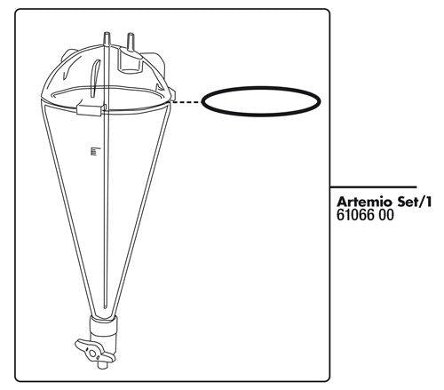 53177603391817_image1