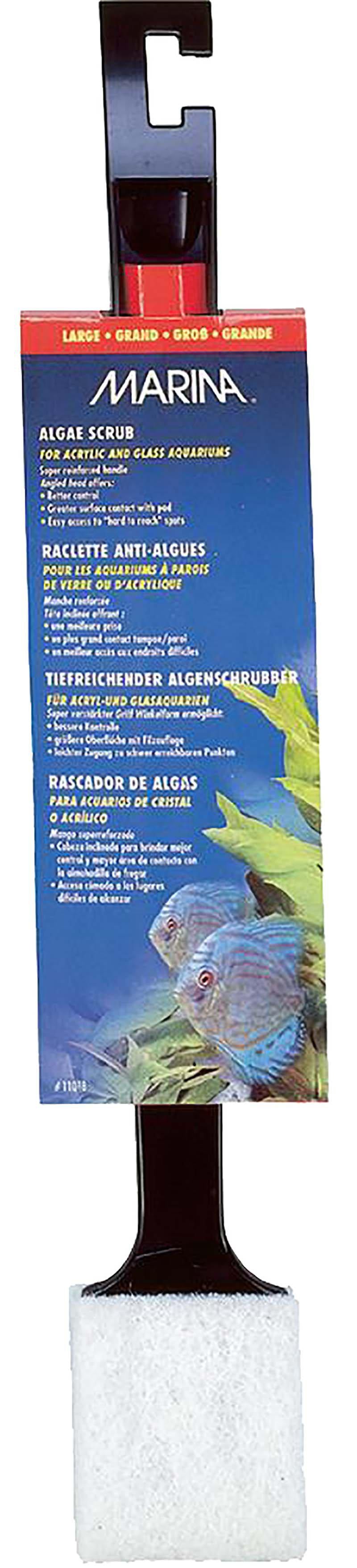 53266396086601_image1