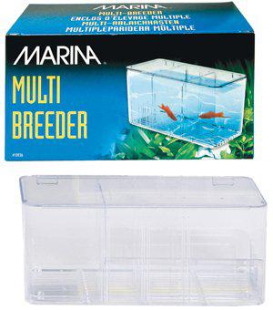 53177525862729_image1