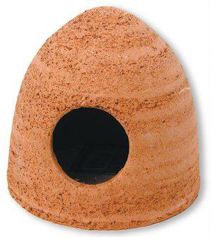 53178141901129_image1