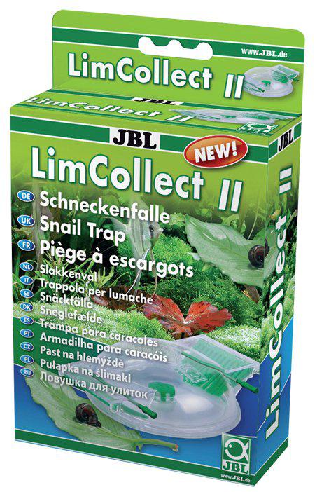 53178220347721_image1