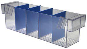 53177609814345_image1