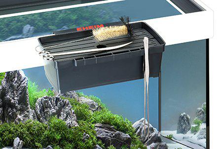 53173807186249_image1