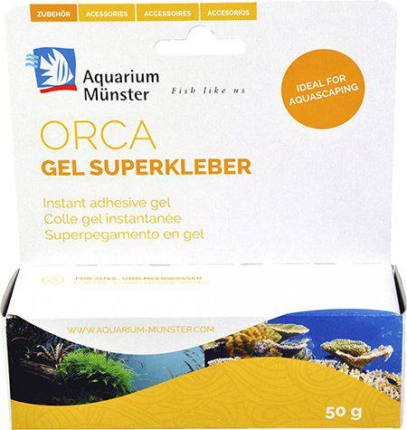 53178015744329_image1