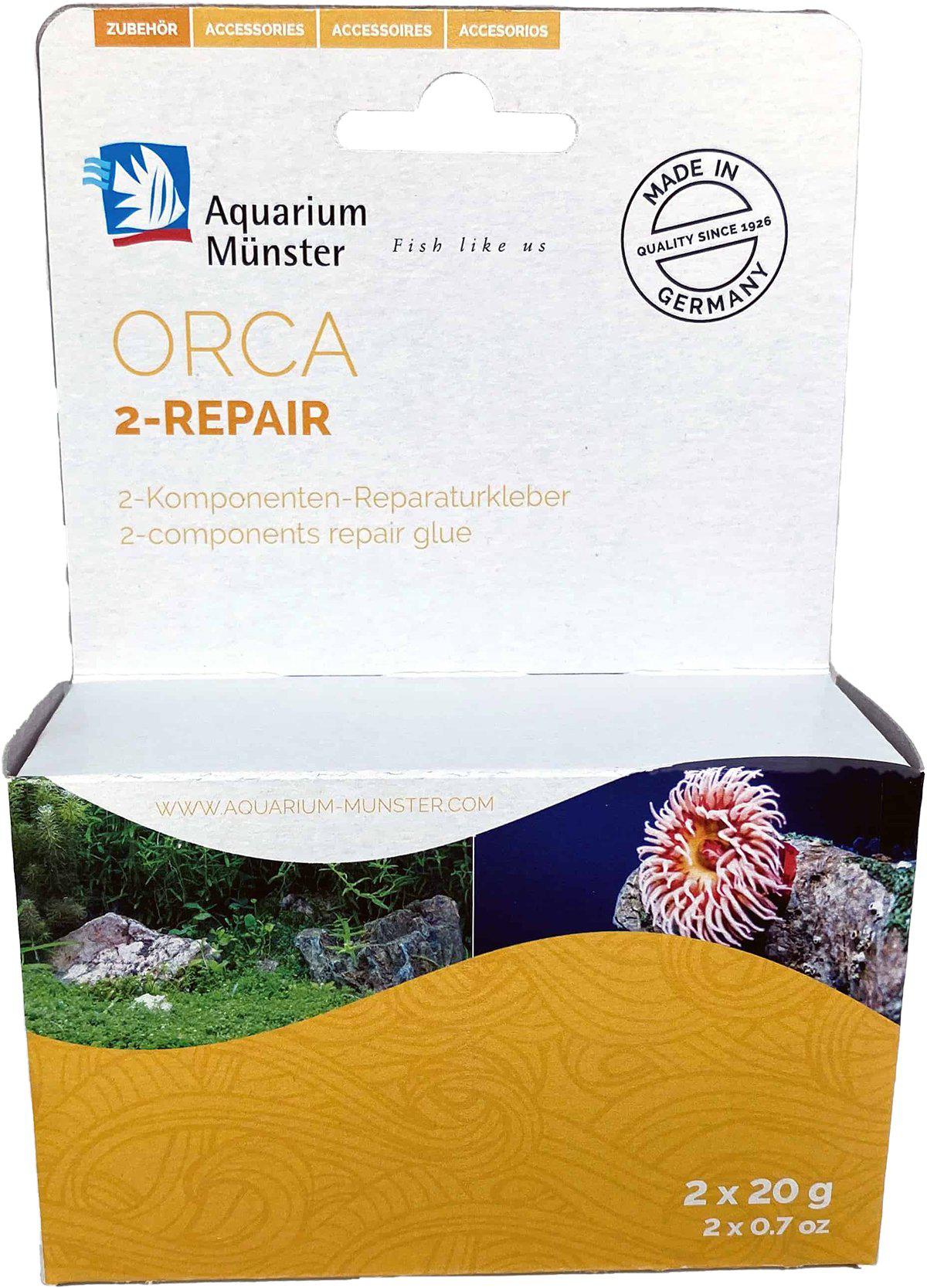 53178483212617_image1