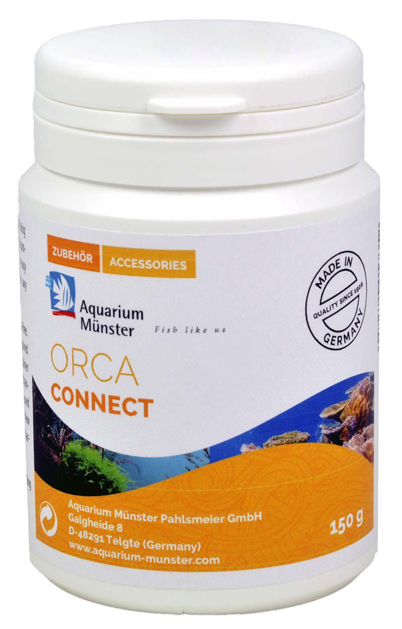 53177905217865_image1