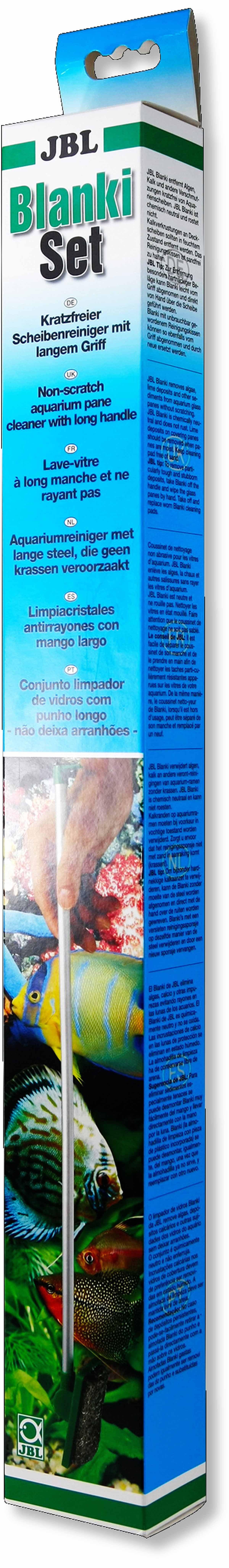 53173826322761_image1