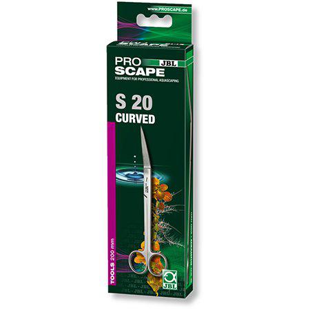 53195343266121_image1