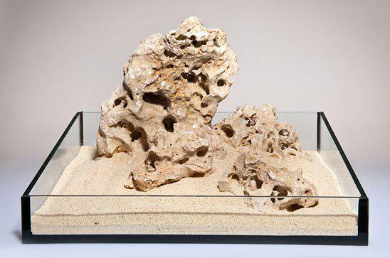 53178357088585_image1