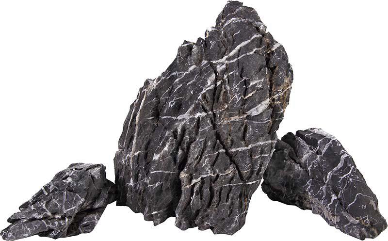 53266360697161_image1