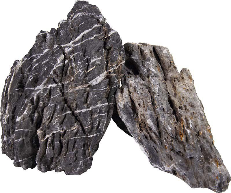 53266360762697_image1