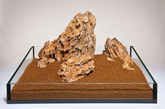 53266353127753_image1