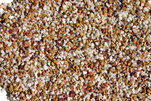 53177933726025_image1