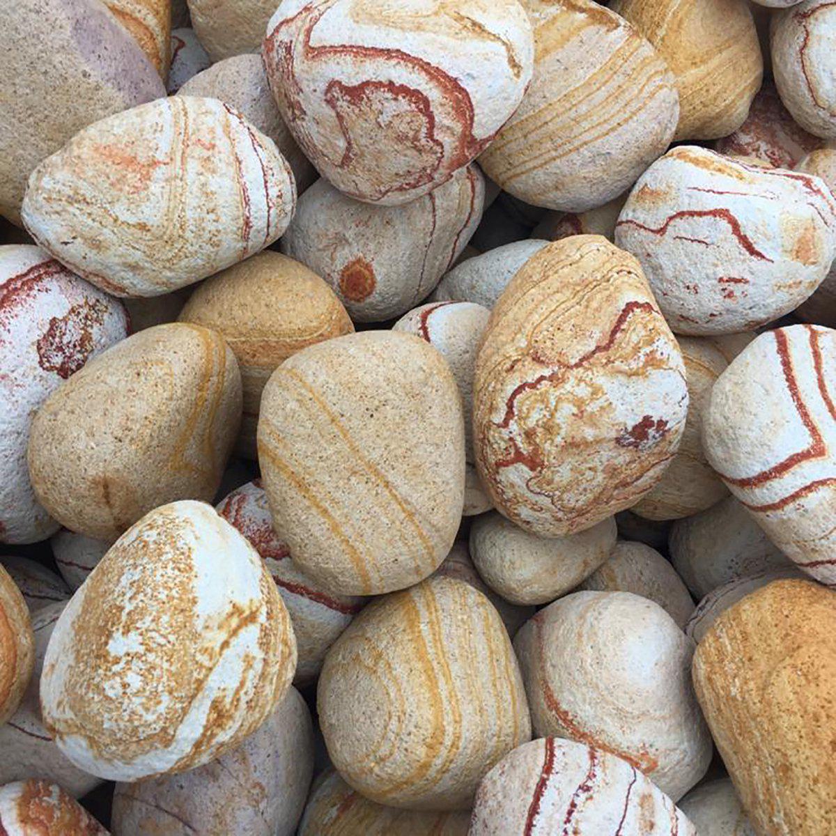 53174226878793_image1