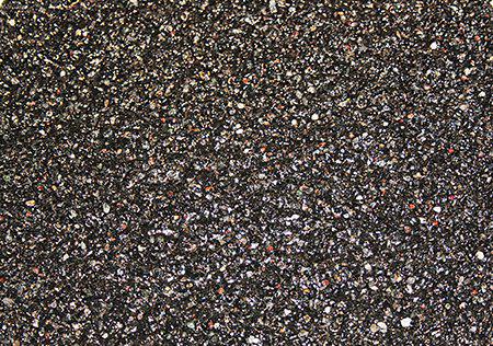 53176698667337_image1