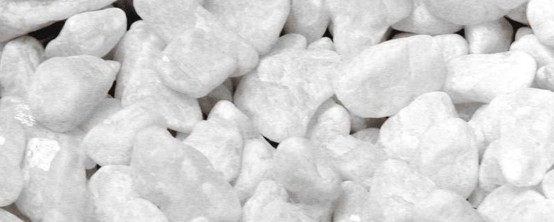 53176720589129_image1