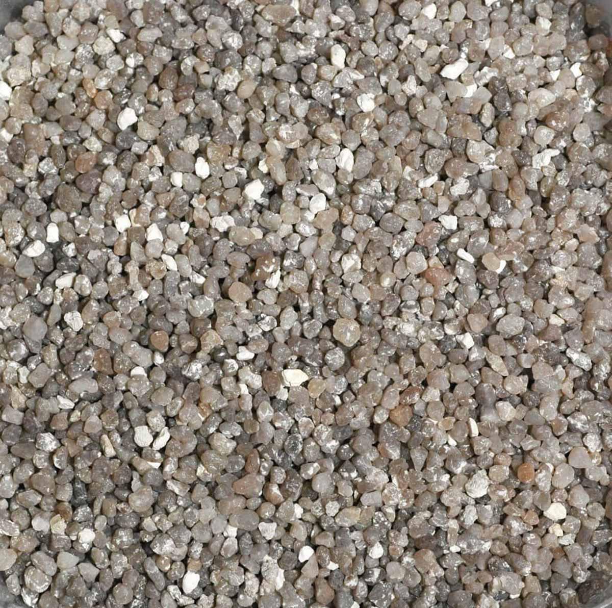 53178352238921_image1