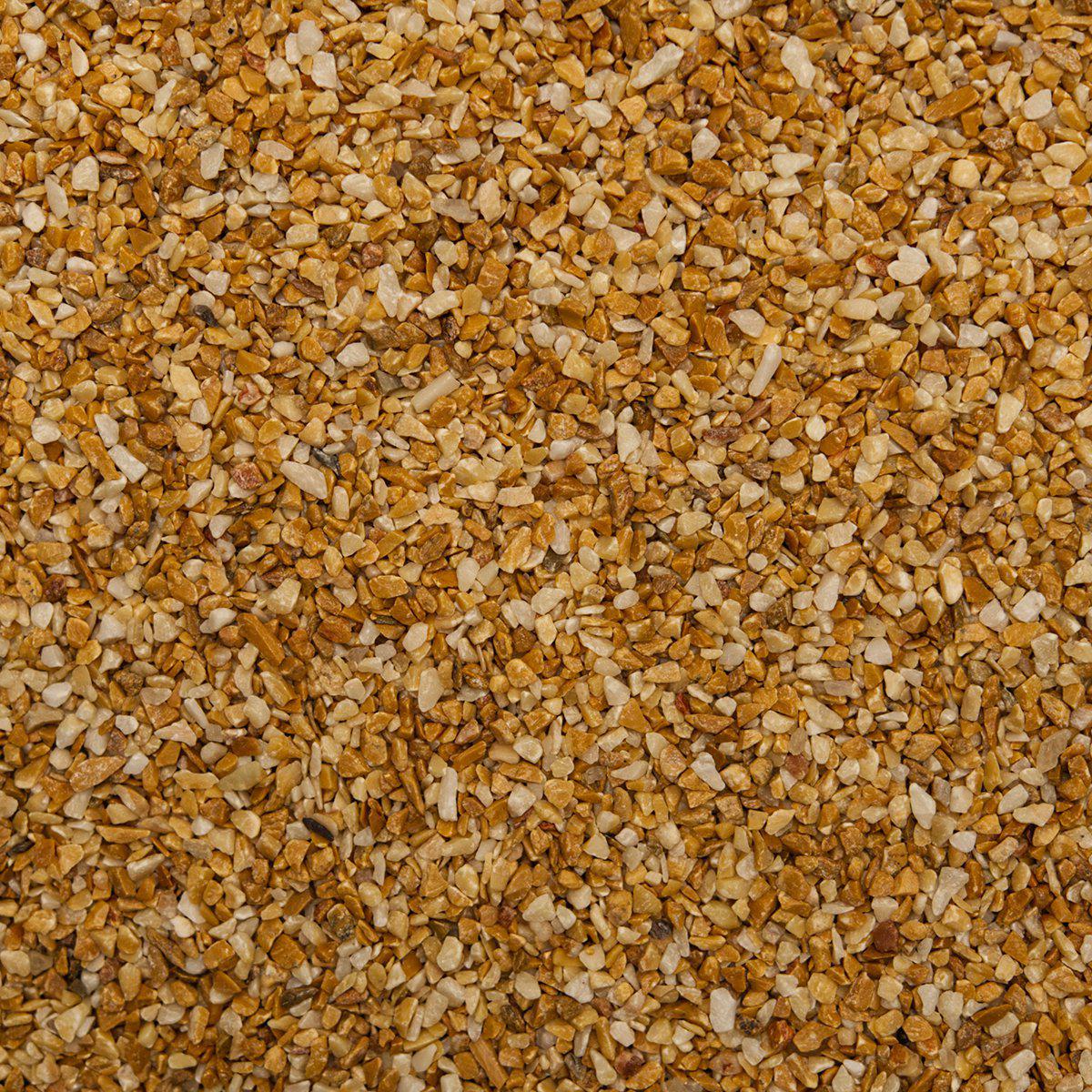 53178529382729_image1