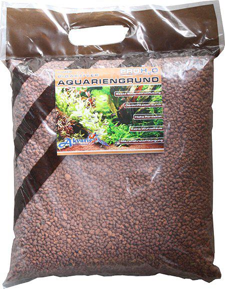 53266535711049_image1