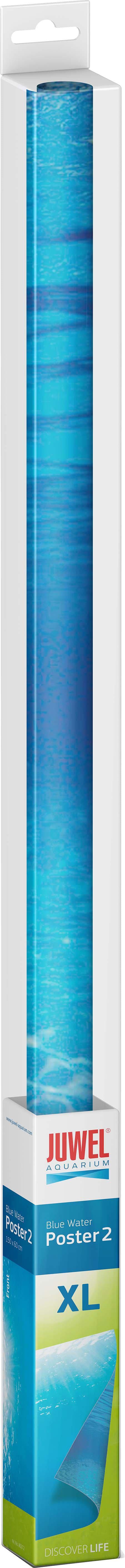 53266602164553_image1