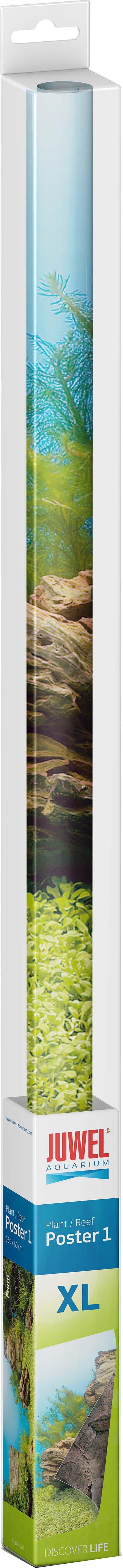 53266582962505_image1