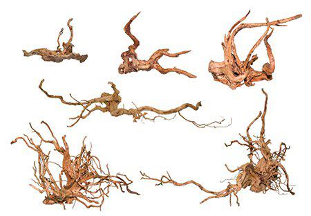 53173672051017_image1