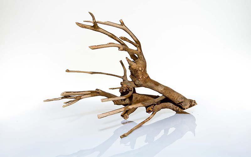 53266620252489_image1