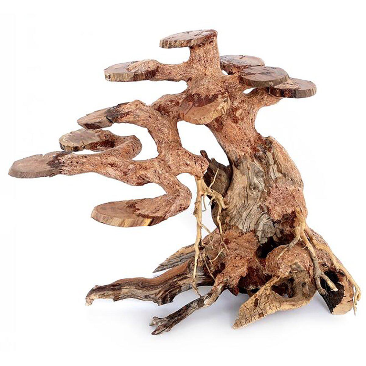 53178357547337_image1