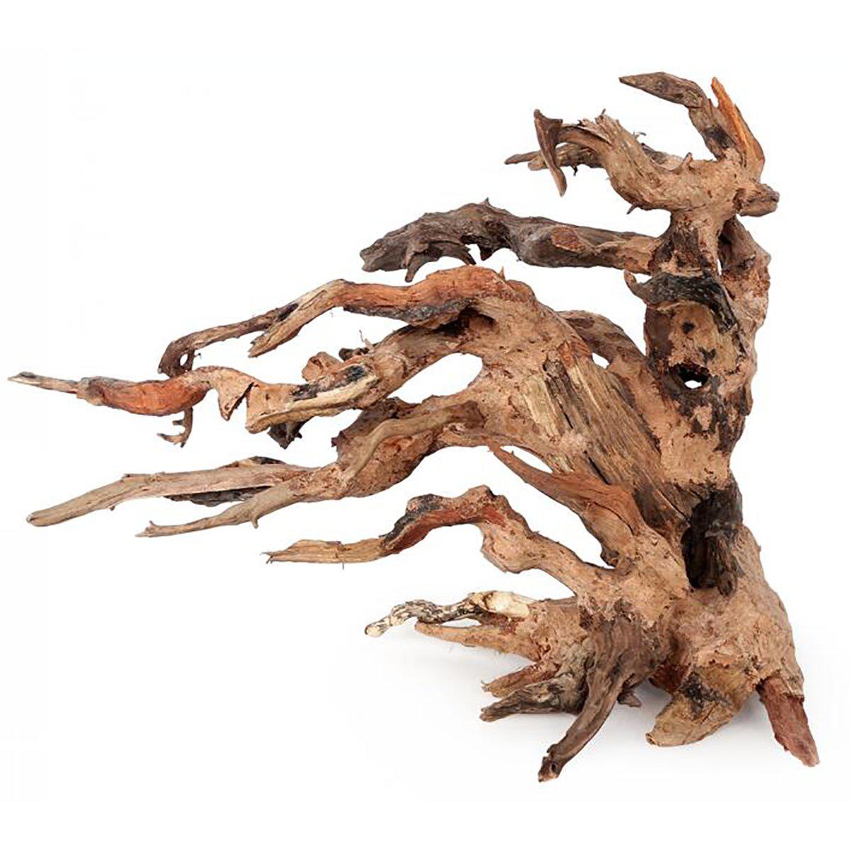 53178564247881_image1