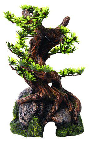 53179212333385_image1