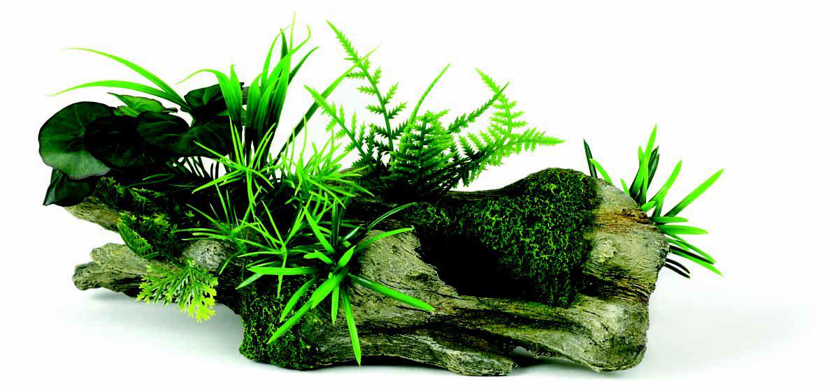 53178208616777_image1