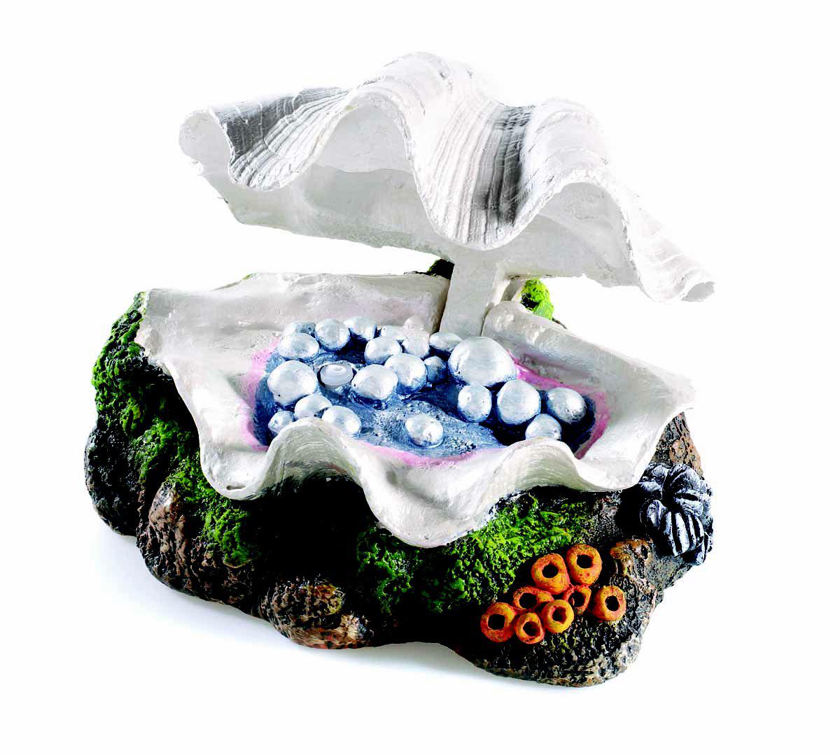 53178013090121_image1