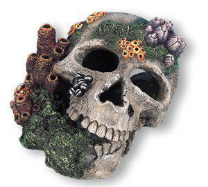 53178471252297_image1