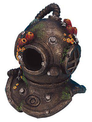 53175702815049_image1