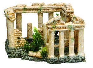 53177501221193_image1