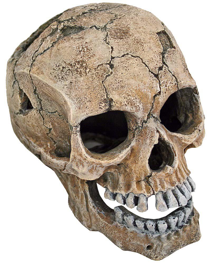 53178426425673_image1