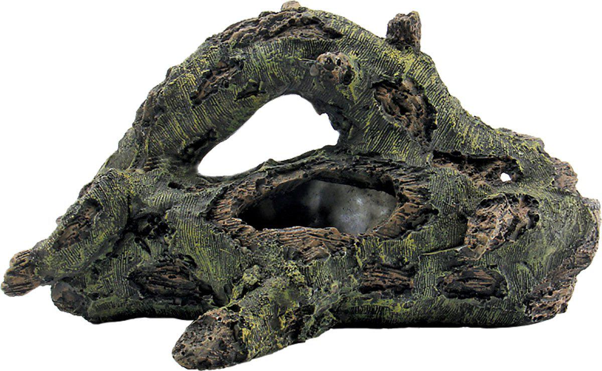 53178297876809_image1