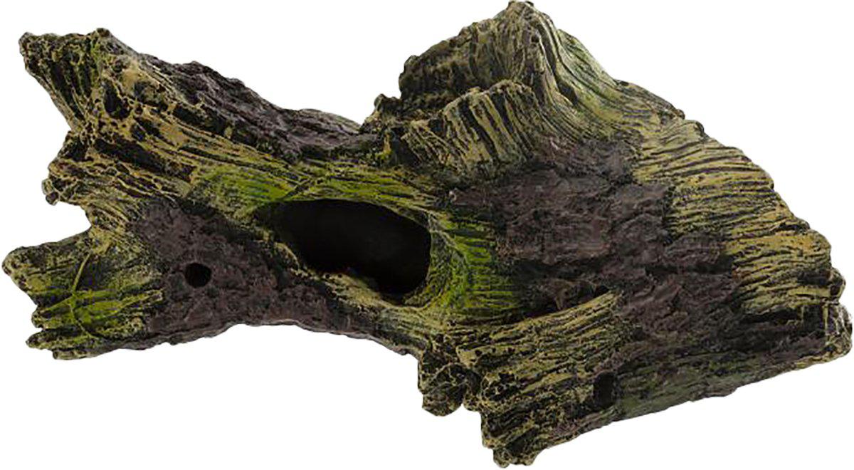 53177035751753_image1