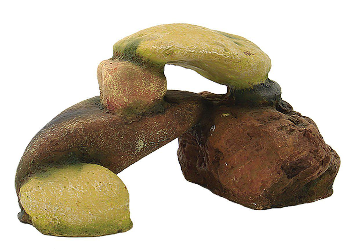 53180003549513_image1