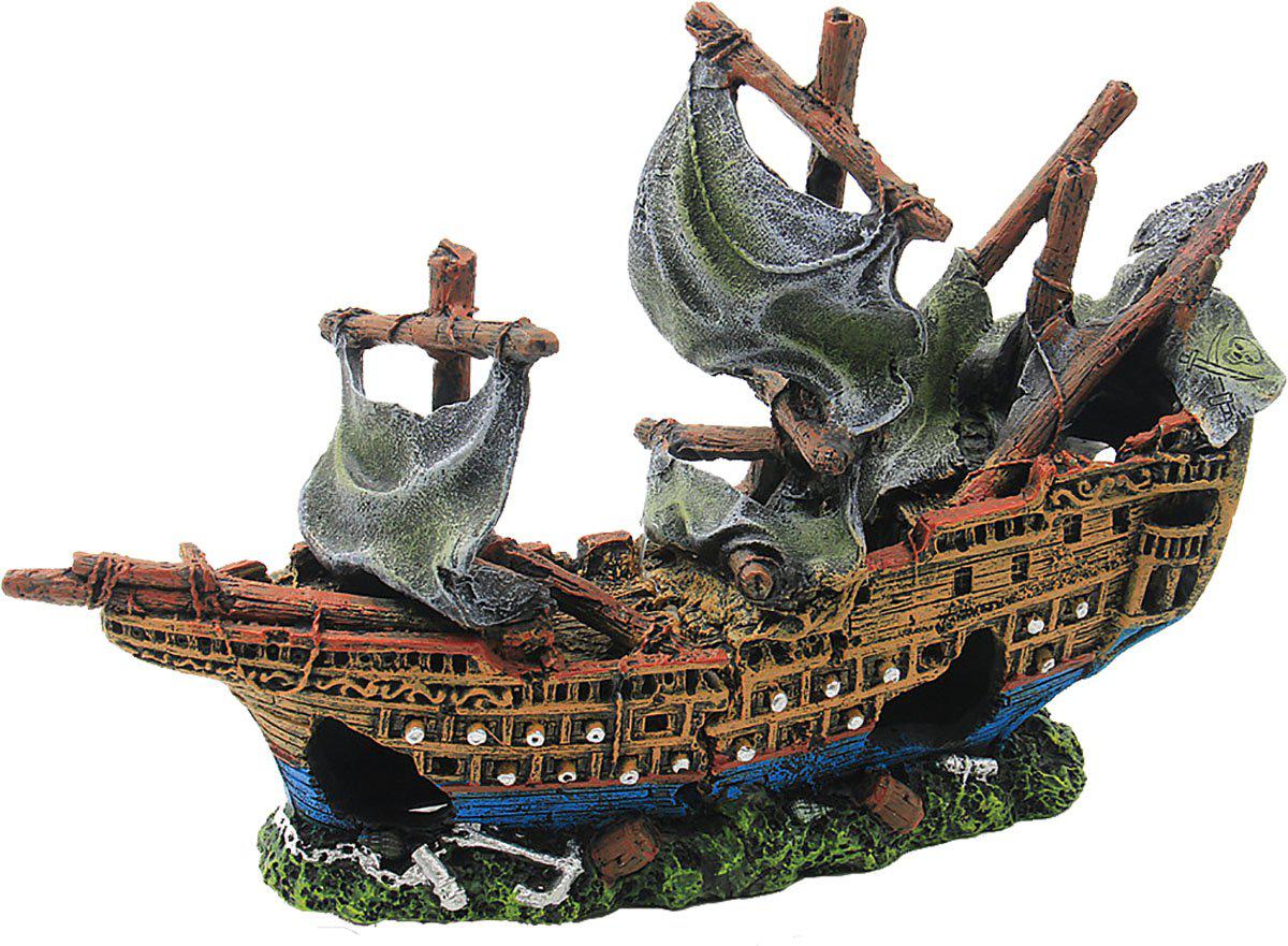 53178396377417_image1