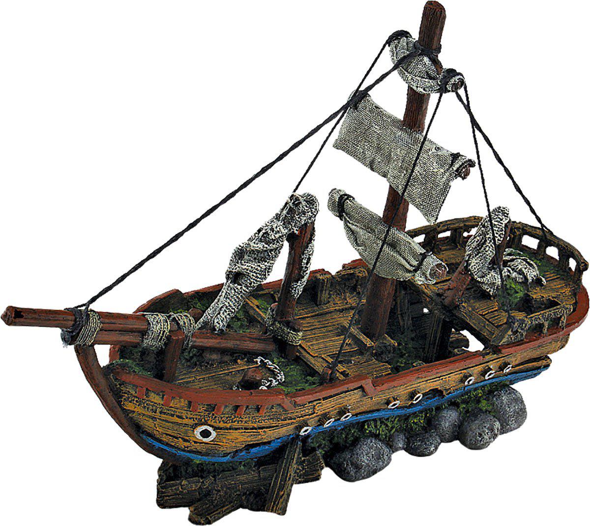 53176790155593_image1