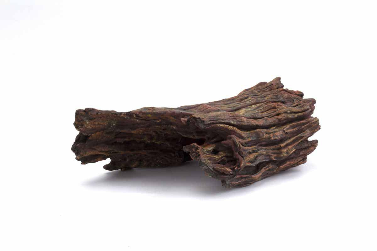 53177675186505_image1