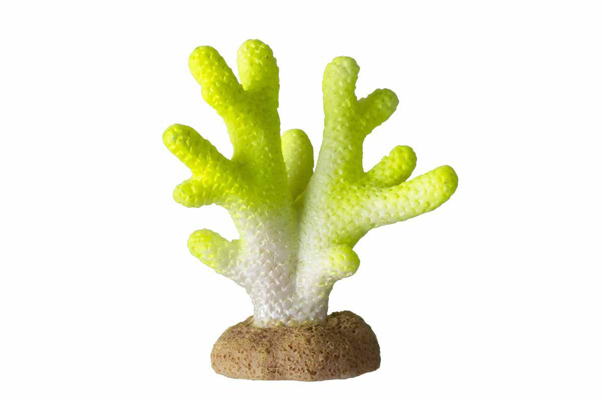 53176819056969_image1