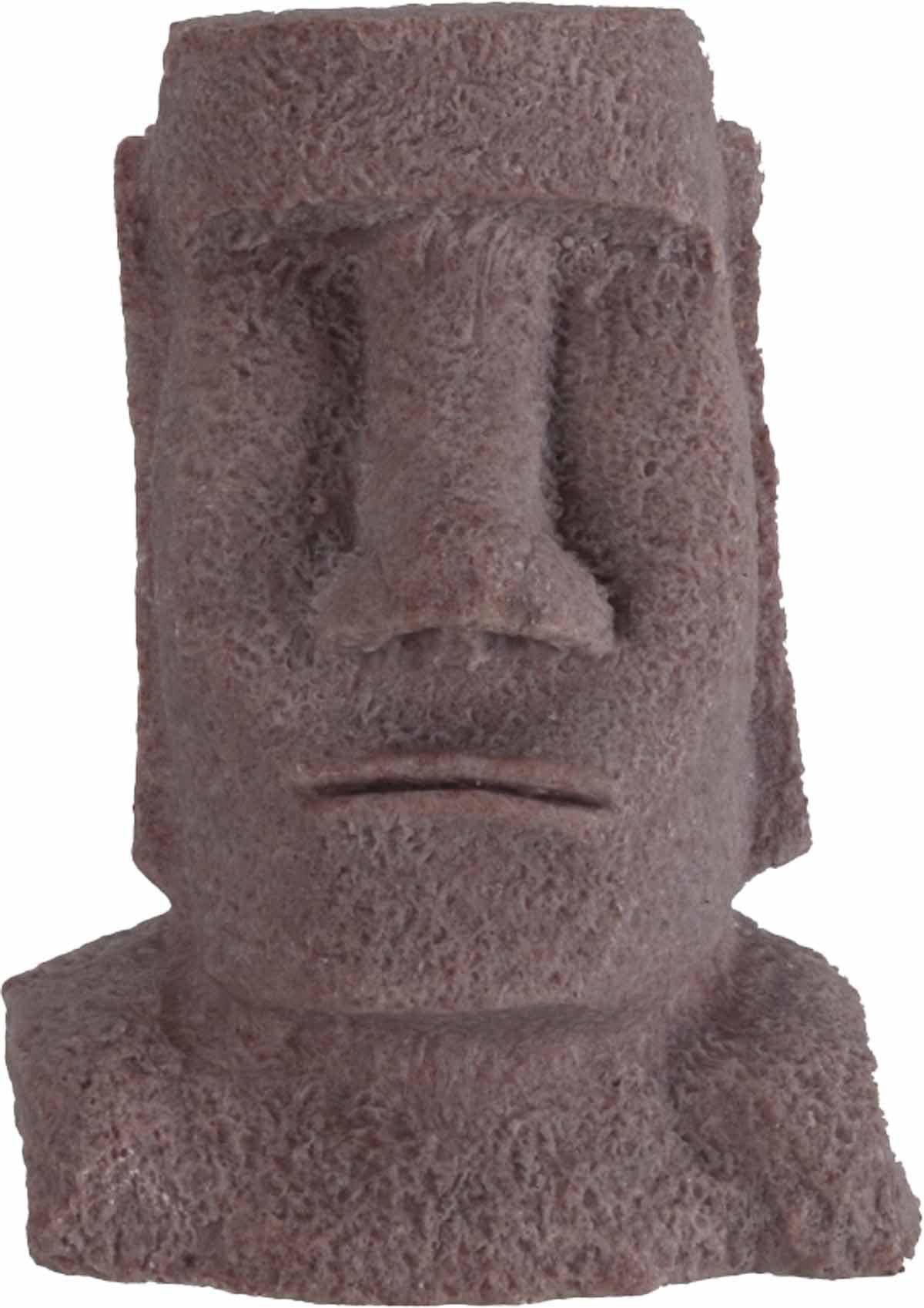 53176704336201_image1