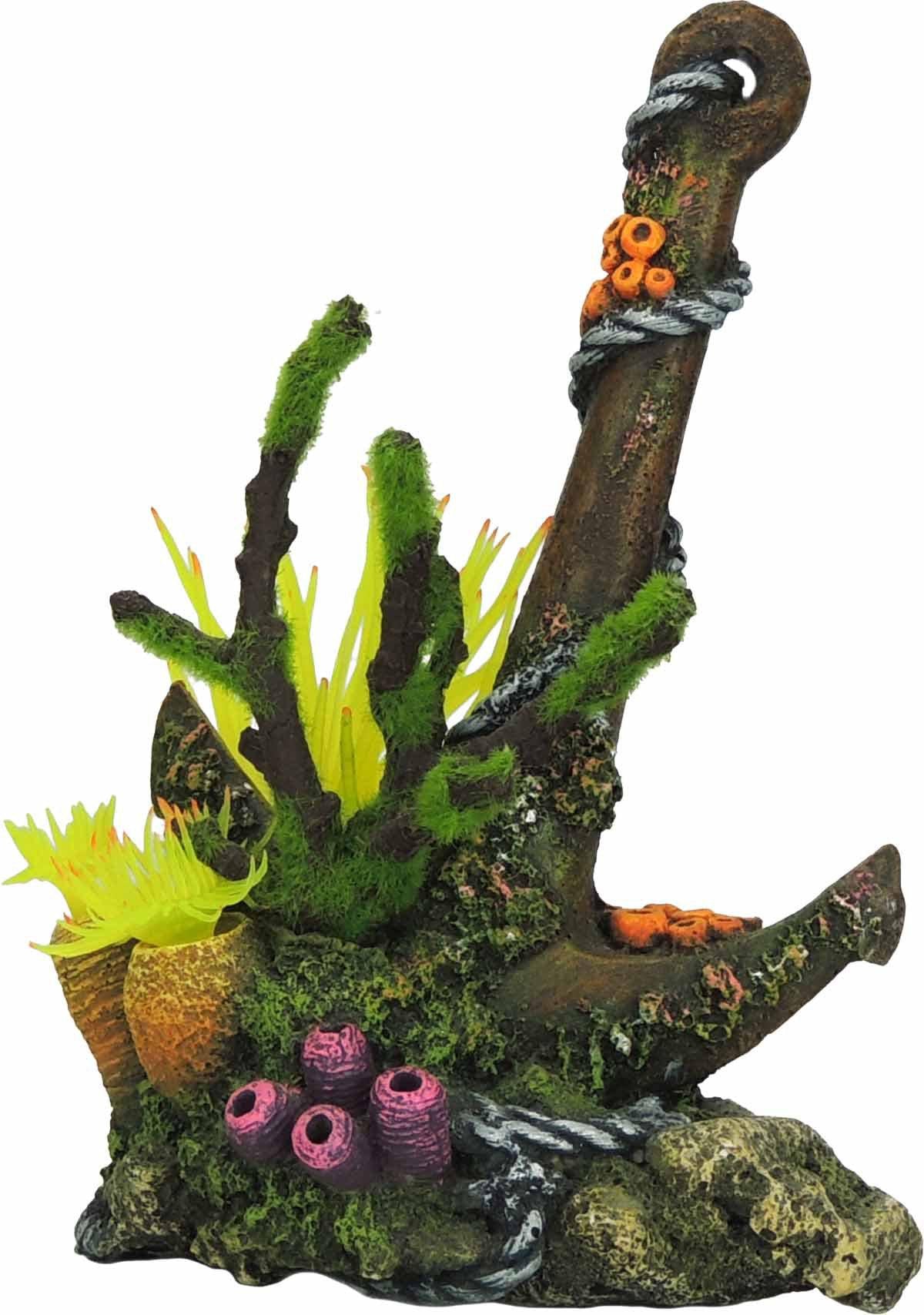 53174322168137_image1