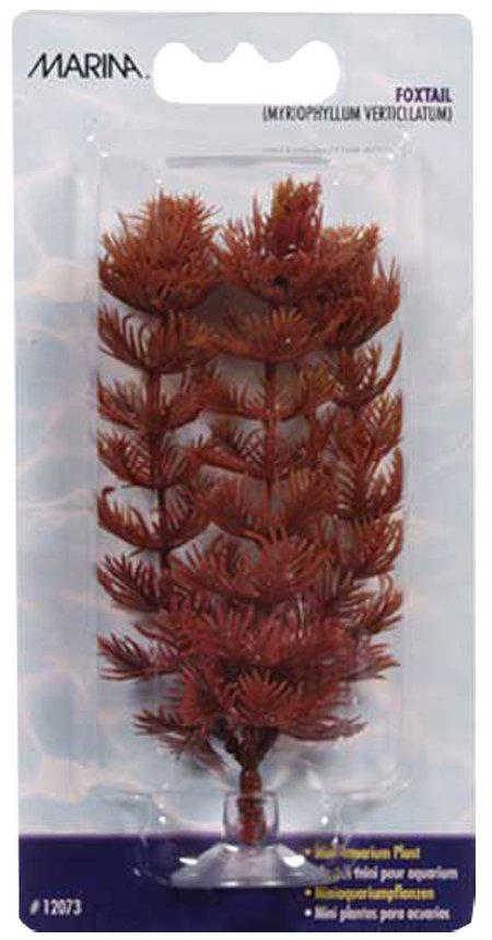 53178198327625_image1