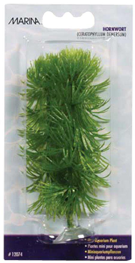 53178815152457_image1