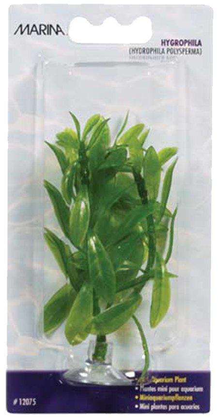 53178543145289_image1